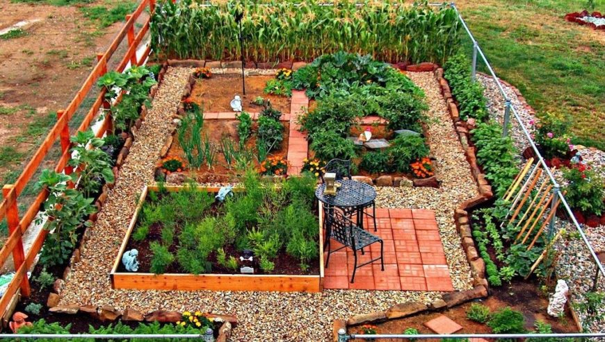 How to Plant a Perennial Food Garden In 3 Simple Steps