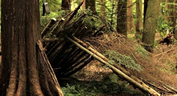 19 Survival Bushcraft Skills That Could Save Your Life - Bushcraft Projects