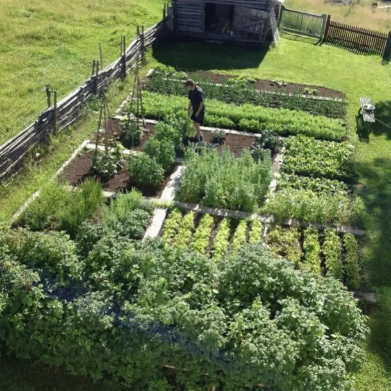 Gardening off grid