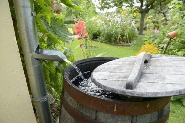 Urban Homesteading Urban Homesteading
