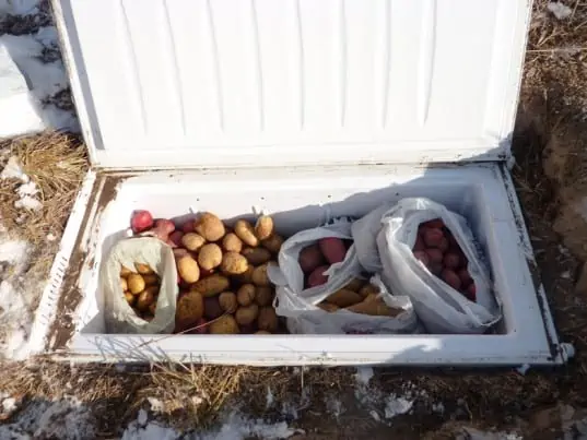 DIY Root Cellar